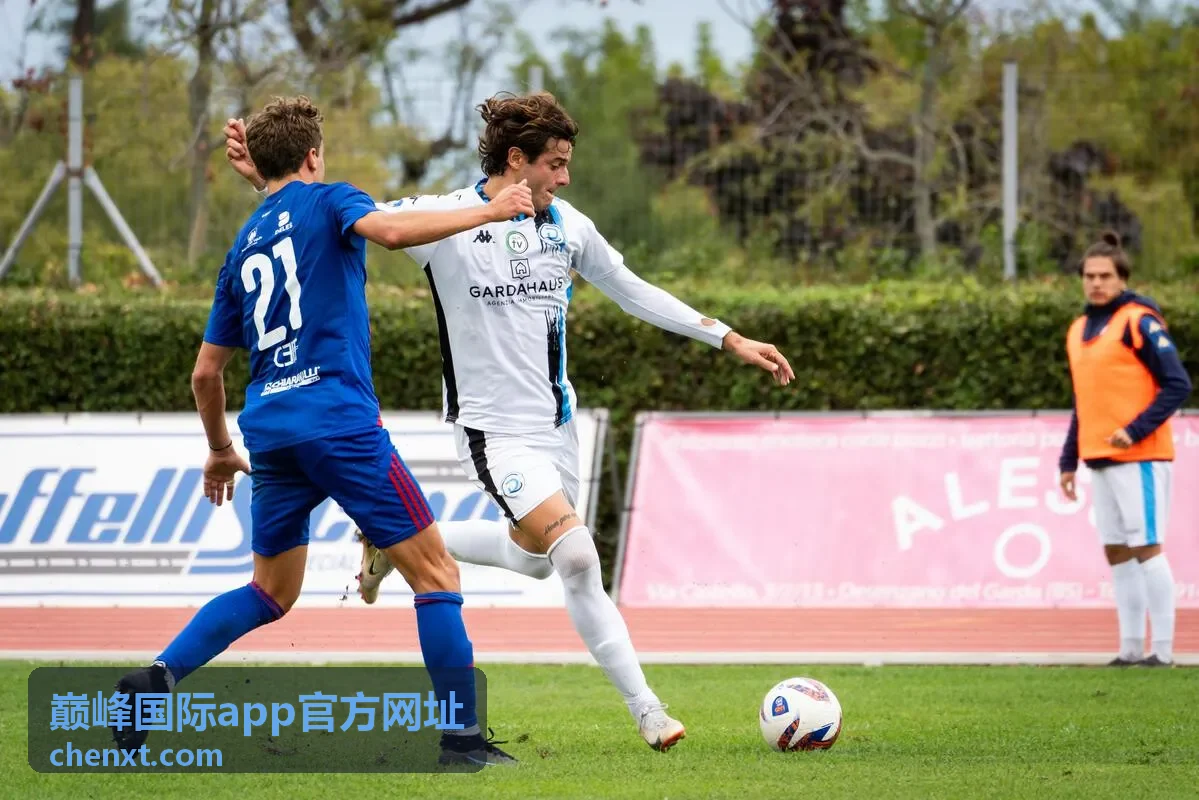 巅峰国际app官方网址下载与安装前的设备信息核对页面